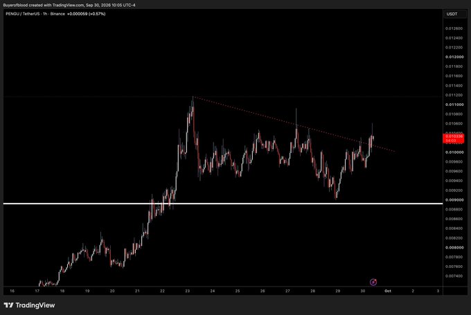 A TradingView chart of the PENGU/USDT pair on Binance (1-hour timeframe, September 30, 2025) shows the token's price rallying to around $0.000105, breaking above a descending trendline resistance near $0.00010. The breakout suggests bullish momentum, aligning with the post's sentiment that $PENGU is ready to "fly" if major cryptocurrencies stabilize.