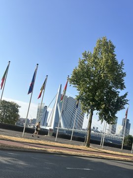 Outdoor photograph showing several flagpoles with flags, including the Russian flag, set against a blue sky with a modern white building and a green tree in the background.