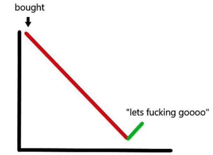 A line chart shows a sharp decline from a peak labeled "bought" (with an arrow), bottoming out at a point marked with a green checkmark and the text "lets fucking goooo." The image humorously captures the emotional rollercoaster of Bitcoin investors, depicting how they view a price dip not as a loss but as an exciting buying opportunity to "go" all-in.