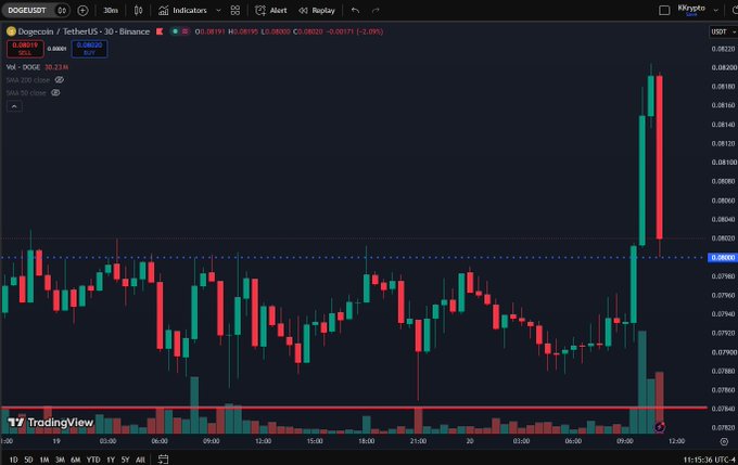 A dark TradingView candlestick chart for “Dogecoin / TetherUS - 30 - Binance” shows DOGE and USDT with a sharp price spike near the right side.