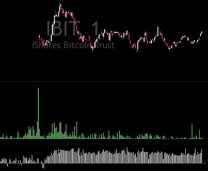 A price chart of IBIT (iShares Bitcoin Trust) showing a 1-minute timeframe with candlestick price action, green/red volume bars, and gray secondary volume indicators. The intense volume spike early in the session aligns with the post's observation of a significant TradFi premium during cash trading hours, suggesting potential native seller exhaustion.