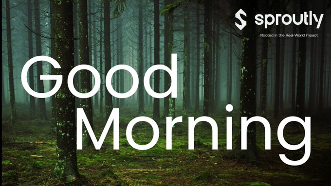 A 'Good Morning' greeting graphic from Sproutly ('Rooted in the Real-World Impact') featuring a misty green forest background.