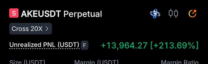 A trading interface showing an AKEUSDT Perpetual position with 20X cross leverage and an unrealized PNL of +$13,964.27 (+213.69%) in green, illustrating a profitable active trade on the $AKE token.