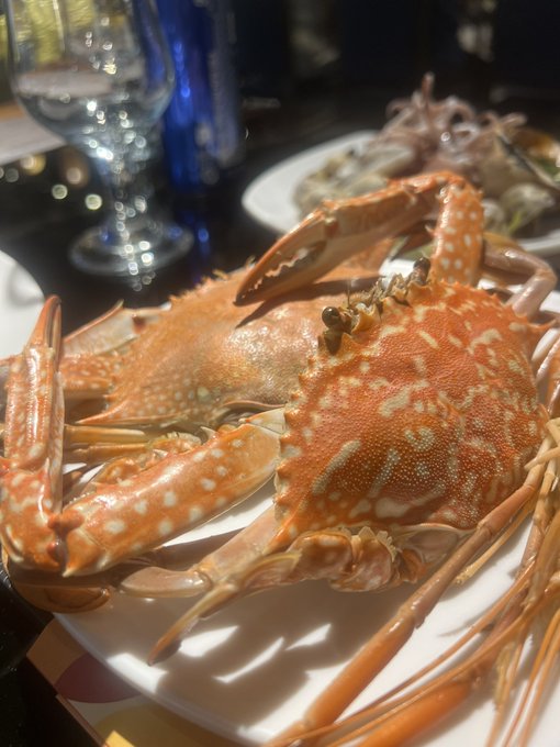 Two large cooked orange crabs served on a white plate at a restaurant, with wine glasses and another seafood dish in the background.