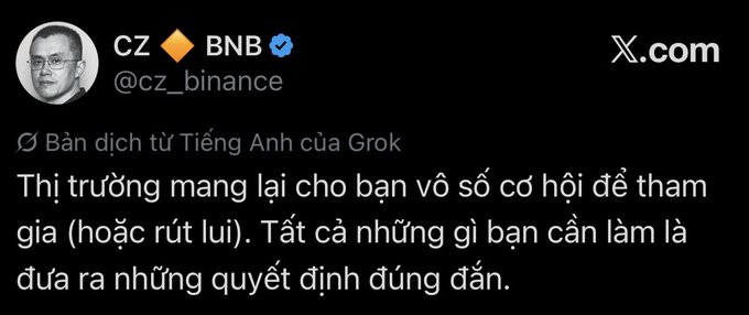 A tweet from CZ Binance (@cz_binance) translated into Vietnamese reads: "Thị trường mang lại cho bạn vô số cơ hội để tham gia (hoặc rút lui). Tất cả những gì bạn cần làm là đưa ra những quyết định đúng đắn" (The market gives you countless opportunities to participate or withdraw; all you need to do is make the right decisions), reinforcing the post's message about simplicity in choosing long or short positions.
