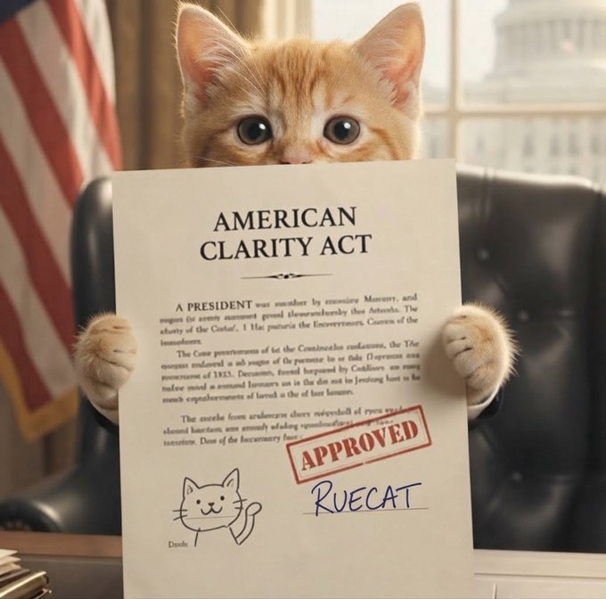 A digital image of an orange tabby kitten in an Oval Office setting holding a document titled 'AMERICAN CLARITY ACT' with an 'APPROVED' stamp and 'RUECAT' signature, signed by a cute cat doodle labeled 'Daneb'.