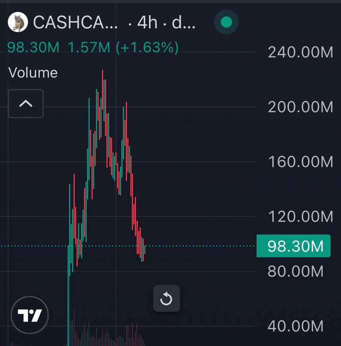 A TradingView 4-hour chart for $CASHCA... (CASHCAT) shows a volatile candlestick pattern with volume peaking near 220M before settling at 98.30M, alongside a price gain of 1.57M (+1.63%). The chart's quiet consolidation after the spike visually supports the post's question about the developer being inactive.