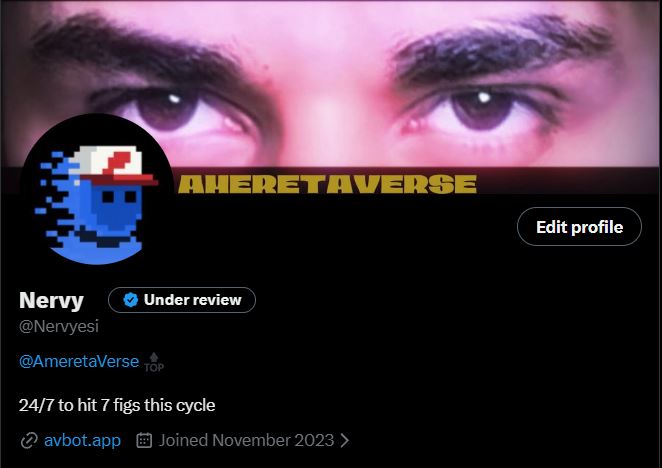 The image shows a Twitter/X profile page for "Nervy" (@Nervyesi) with an "Under review" badge, displaying a pixelated blue Twitter logo avatar and the header text "AMERETAVERSE," alongside a bio stating "24/7 to hit 7 figs this cycle." The profile's pixelated PFP (profile picture) suggests the poster recently updated their avatar, connecting to their message about wanting to network with SNARKS holders.