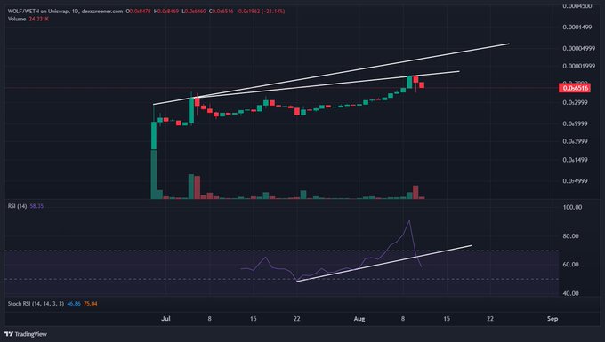 A daily candlestick chart of $WOLF (WOLF.WBTC) on DexScreener showing price action consolidating between July and August, with an ascending trendline drawn along the tops of the candles. The RSI indicator at the bottom (value 55.35) displays a broken uptrend line, supporting the post's claim that the cup-and-handle formation is under threat as momentum weakens near the $0.00016 level.
