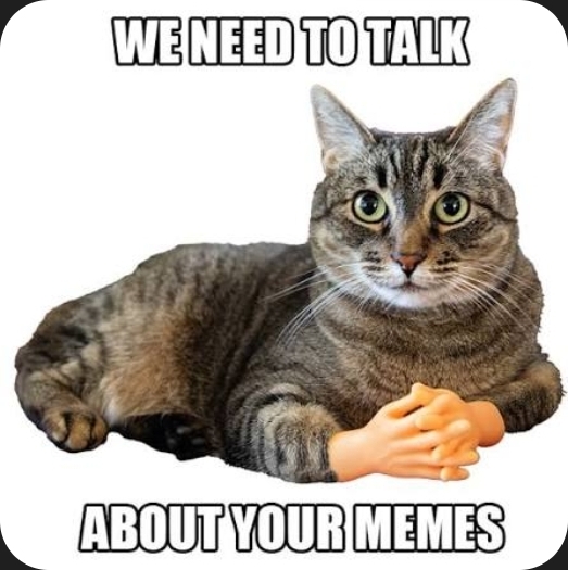 A meme of a cat with human hands clasped, with text 'WE NEED TO TALK ABOUT YOUR MEMES'.