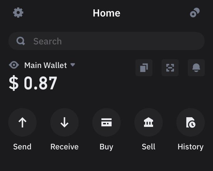 Crypto wallet app home screen showing a Main Wallet balance of $0.87 with options for Send, Receive, Buy, Sell, and History.