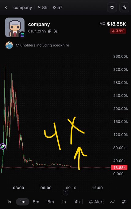 A crypto token called 'company' (6Ef...zF9y) shows a market cap of $18.88K, down 3.9%, with a sharp price crash visible on the 1-month chart.