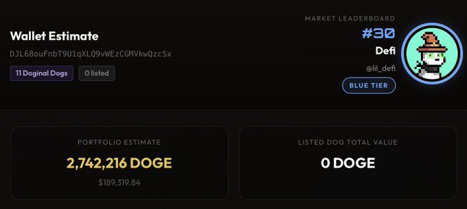 A digital wallet dashboard showing a portfolio estimate of 2,742,216 DOGE ($189,319.84) for the wallet 'DJL68ouFnbT9U1qXLQ9vWEzCGMVkwQzCSx', ranked #30 with '11 Doginal Dogs' and 'Blue Tier' status for user @li_defi.