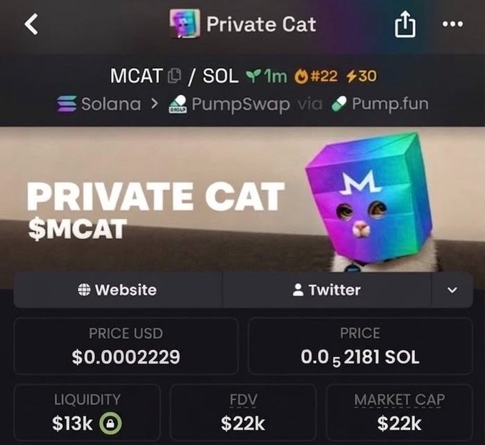 Screenshot of a cryptocurrency token page for 'Private Cat' ($MCAT) on Solana via PumpSwap, showing a price of $0.000229 and a market cap of $22k.