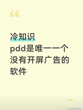 A light yellow graphic displays Chinese text reading "冷知识" and "pdd是唯一一个没有开屏广告的软件" in blue and black characters.