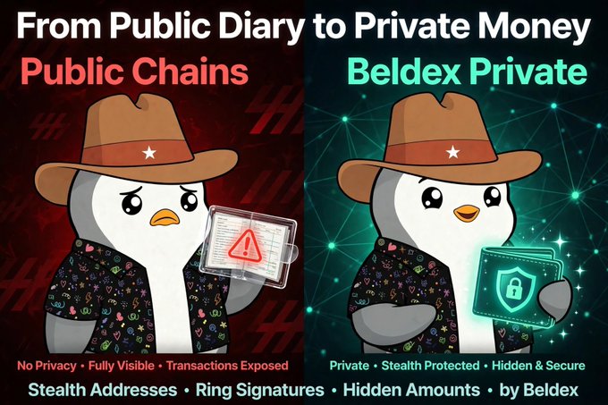 A promotional graphic titled 'From Public Diary to Private Money' comparing 'Public Chains' (No Privacy, Fully Visible, Transactions Exposed) with 'Beldex Private' (Private, Stealth Protected, Hidden & Secure), featuring a penguin mascot in a cowboy hat holding a tablet vs. a secure lock icon, with text: 'Stealth Addresses · Ring Signatures · Hidden Amounts · by Beldex'.