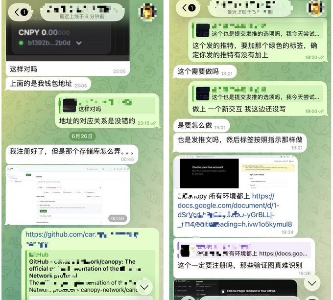The image shows a WhatsApp chat conversation in Chinese discussing cryptocurrency-related topics, including wallet addresses (CNPY), GitHub repositories for canopy-network, Google Docs setup instructions, and account verification processes—illustrating the communication issues mentioned in the post about new member onboarding, code repositories, trading strategies, and Web3 basics.