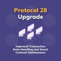 A simple graphic with a purple background displaying white and pink text reading "Protocol 28 Upgrade" with smaller text below about improving transaction data handling and smart contract maintenance.