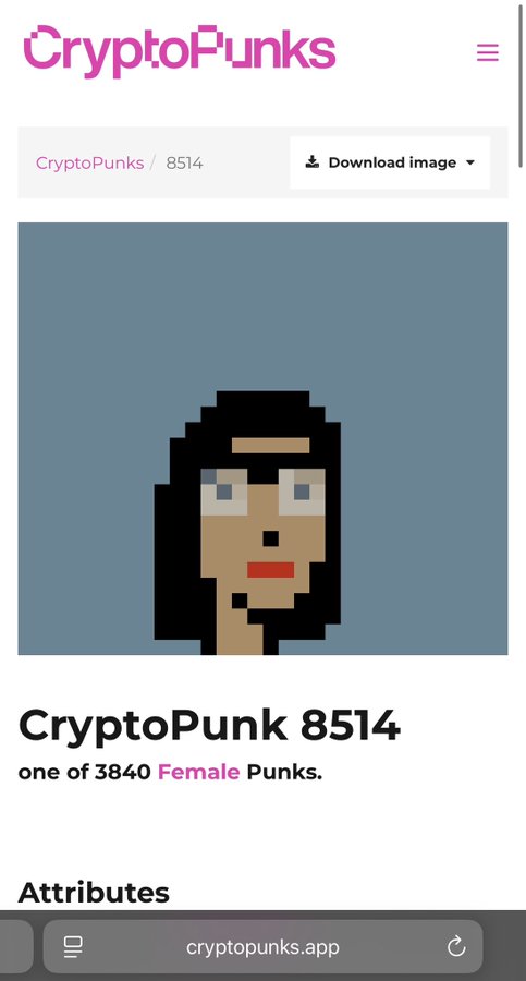 A mobile screenshot from cryptopunks.app shows CryptoPunk #8514, described as 'one of 3840 Female Punks,' featuring a pixel art character with dark hair, blue eyes, and red lipstick.