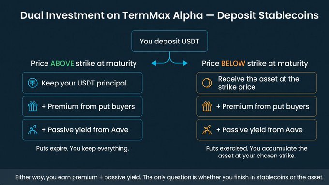 An infographic titled "Dual Investment on TermMax Alpha — Deposit Stablecoins" explaining USDT deposit scenarios based on whether price ends above or below the strike at maturity.