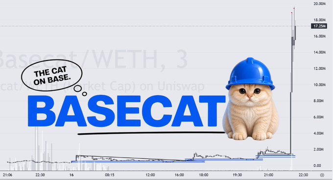 A promotional image for 'BASECAT / WETH, 3' on Uniswap features a Scottish Fold cat wearing a blue hard hat and a thought bubble saying 'THE CAT ON BASE.'
