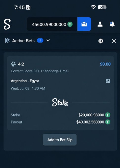 A screenshot of a Stake sportsbook bet slip showing an active wager on Argentina vs. Egypt (Correct Score: 4:2 at 90.00 odds) with a $20,000.98 stake and $40,002.56 potential payout, supporting the post's claim of a $40,000+ payout if Argentina wins, along with the account balance of 45600.99 displayed at the top.
