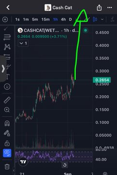 A stock chart for 'CASHCAT/WETH' on a 1h timeframe showing a sharp green spike upward, with the current price highlighted at 0.2654 and a 3.71% gain.