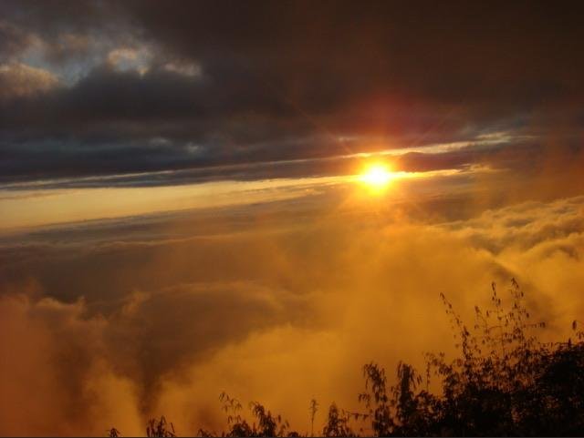 A dramatic sunset scene with the sun glowing brightly through clouds above a sea of golden fog, with silhouetted vegetation in the foreground.