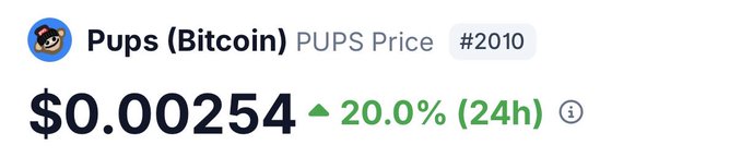 The image displays a price chart for Pups (Bitcoin) with ticker $PUPS, showing a current price of $0.00254 and a notable 20.0% gain over 24 hours, ranking #2010. This aligns with the post's claim of PUPS being one of only two memecoins to survive the bear market, visually supporting the optimism by highlighting its recent upward momentum as a potential sign of the new bull market.