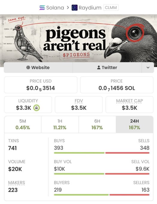 A cryptocurrency page for '$PIGEONS' on Solana/Raydium showing a price of $0.053514 USD with a meme banner reading 'pigeons aren't real', showing market cap of $3.5K and 167% gain.