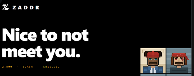 A dark webpage banner for 'ZADDR' with the headline 'Nice to not meet you.' showing metadata '2,800 · ZCASH · SHIELDED' alongside pixel-art portraits of two characters.