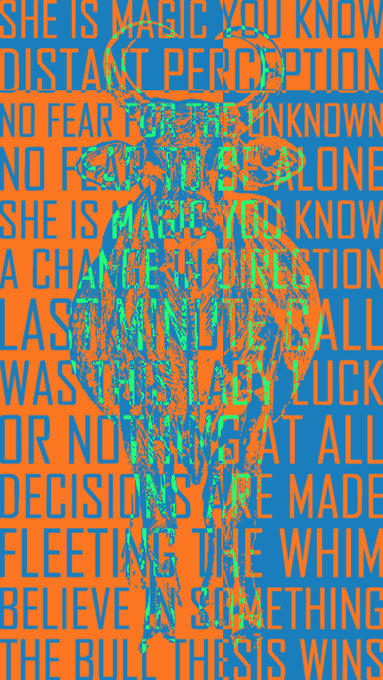 A psychedelic-style graphic with repeating text in orange and blue that reads: "SHE IS MAGIC YOU KNOW / DISTANT PERCEPTION / NO FEAR FOR THE UNKNOWN / NO FRIENDS SHE'S ALONE / SHE IS MAGIC YOU KNOW / A CHANGE IN DIRECTION / LAST TURN OF THE WHEEL / WAS IT JUST BAD LUCK / OR NOT SKILL AT ALL / DECISIONS ARE MADE / FLEEING THE WHIM / BELIEVE IN SOMETHING / THE BULL THESIS WINS".