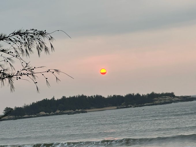 A photograph of a sunset over the ocean, with a bright red/orange sun low in the sky, a small forested island in the middle distance, and pine tree branches with pinecones framing the left side of the image.