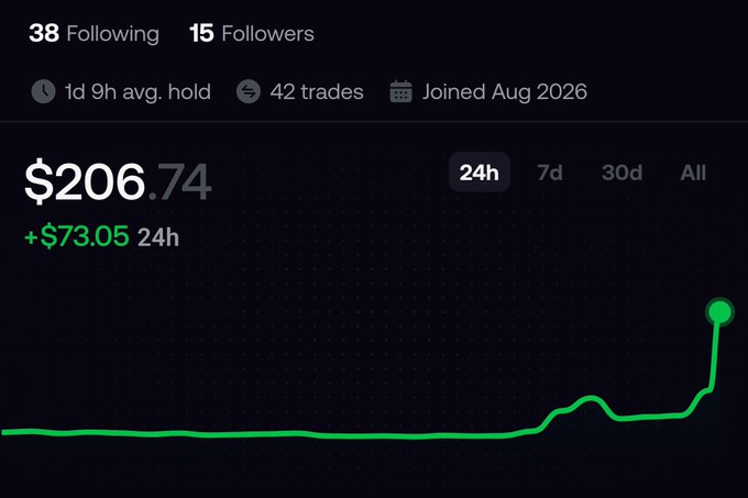 A trading dashboard screenshot showing a portfolio value of $206.74 with a 24h gain of +$73.05, displaying a green line graph trending upward.