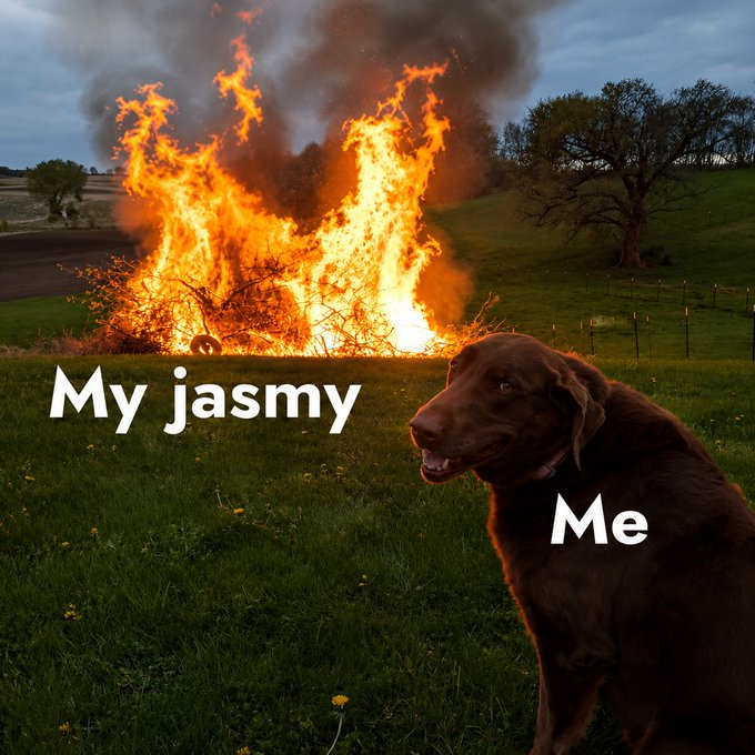 The image shows a brown dog sitting next to a large pile of burning wood or brush, with smoke rising from it. The caption reads "My Jasmy bag will be on fire soon. Watch out." This message seems to be related to the fire in some way, possibly warning people about potential danger for their belongings nearby.