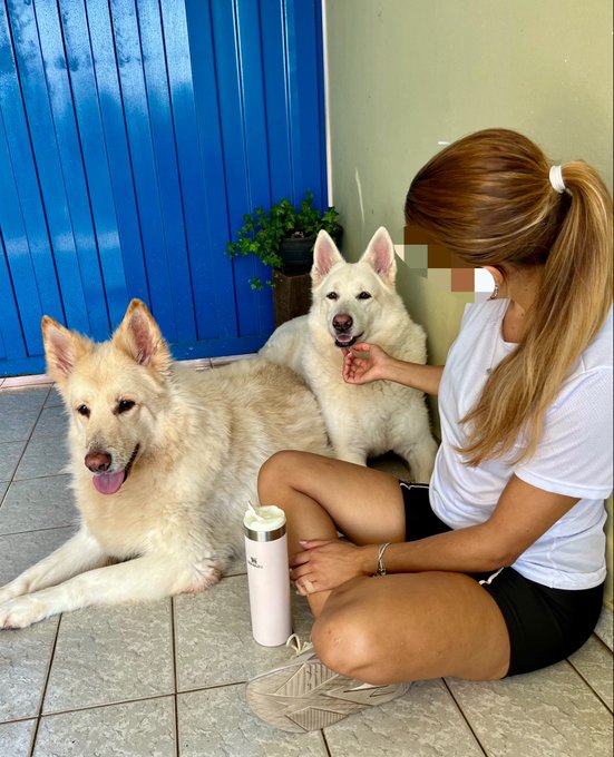 A woman with a ponytail sits on the floor petting two large white husky-type dogs, with a white tumbler cup nearby, against a backdrop of a bright blue wall.