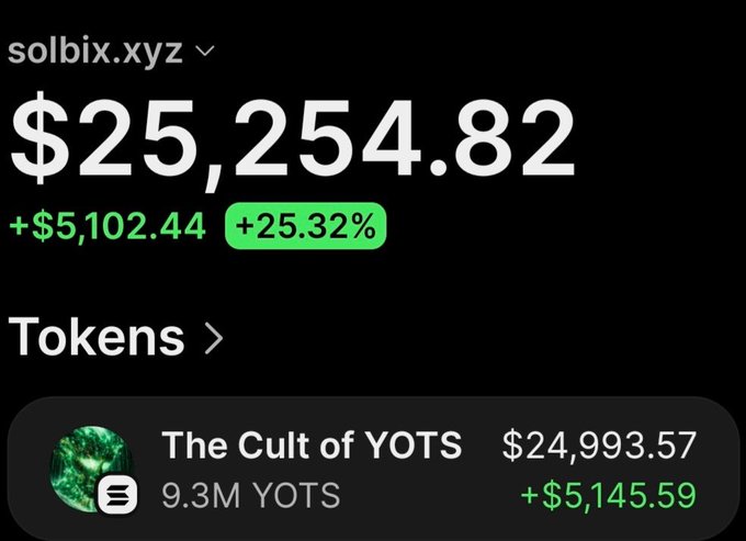 The image shows a crypto wallet balance of $25,254.82, with "The Cult of YOTS" token listed as $24,993.57, confirming the profit mentioned in the accompanying post.