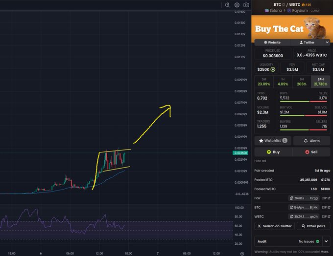 A DexScreener chart for the 'Buy The Cat' token (BTC) on Solana showing a 4.96% price increase to 0.003600, with an arrow drawn predicting a breakout from a flag pattern.