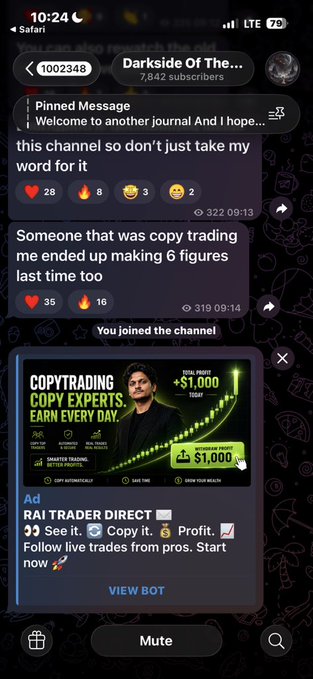 A screenshot of a Telegram channel called 'Darkside Of The...' showing a pinned welcome message and a bot advertisement for 'COPY EXPERTS. EARN EVERY DAY' with a +$1,000 profit claim.