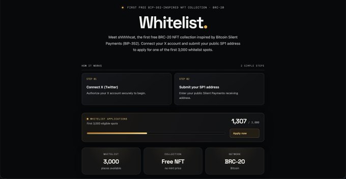 A dark-themed website for 'Whitelist.', promoting a 'FIRST FREE BRC-20-INSPIRED NFT COLLECTION' with steps to 'Connect X (Twitter)' and 'Submit your SP1 address', showing 1,307 of 3,000 whitelist applications.