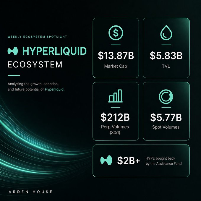 The main focus of this image is a screenshot of a poster that details four different types of transactions happening within the Hyper Liquid ecosystem, along with their associated amounts, prices, and volumes over a period of time spanning from January 1st through December 31st. The image contains various types of financial data like stock prices, token transfers, and tokens' volume changes, which are essential for understanding the ecosystem's dynamics. The poster also includes the title "This week we're putting the spotlight on Hyperliquid" as well as a captivating photo.