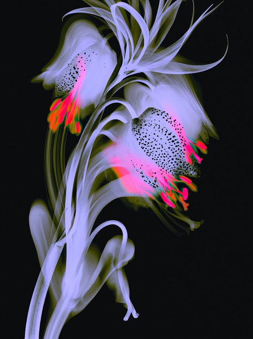 A stylized digital artwork depicts a fantastical plant or flower with white petals and vibrant neon green and pink accents against a stark black background.