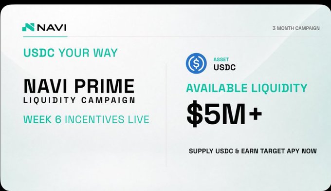 A promotional graphic for 'NAVI PRIME' displaying 'USDC YOUR WAY' and 'AVAILABLE LIQUIDITY $5M+' for a '3 MONTH CAMPAIGN'.