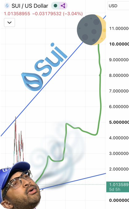 A chart showing the SUI / US Dollar exchange rate, indicating a current value of 1.01358955 and a decline of -3.04%, with a man's face superimposed on the lower left.
