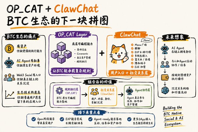 An infographic titled 'OP_CAT + ClawChat: BTC生态的下一块拼图' explaining the Bitcoin ecosystem, featuring sections on OP_CAT Layer, ClawChat (with cat mascot), and future vision for BTC native Social & AI Ecosystem.