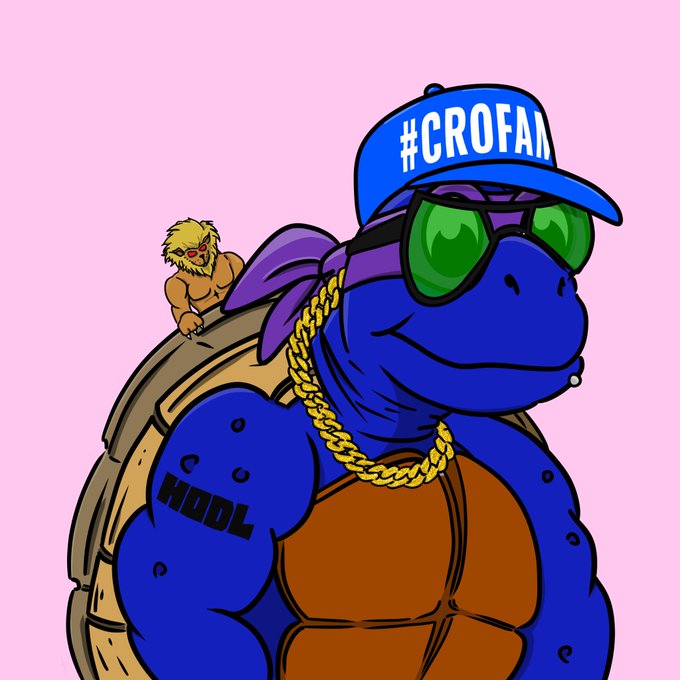 A cartoon illustration shows a muscular blue turtle wearing green sunglasses, a gold chain, and a blue cap with the text '#CROFAM', with the word 'HODL' written on its arm.