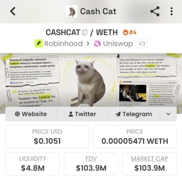 A screenshot of the Cash Cat (CASHCAT/WETH) token page showing price of $0.1051, FDV of $103.9M, market cap of $103.9M, with an image of a cat wearing a scarf.