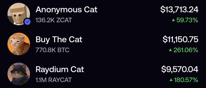 A leaderboard shows the top three cat-themed meme coins—Anonymous Cat (136.2K ZCAT, $13,713.24, ▲59.73%), Buy The Cat (770.8K BTC, $11,150.75, ▲261.06%), and Raydium Cat (1.1M RAYCAT, $9,570.04, ▲180.57%)—each named after a major crypto asset, humorously illustrating the post's point about profiting from meme coins tied to Bitcoin, Zcash, and Raydium.