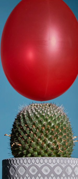 A surreal composition featuring a red balloon floating above a spiky green cactus potted in a decorative container against a blue sky.