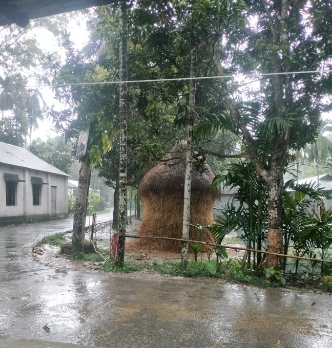 A rainy outdoor scene showing a traditional haystack or thatched structure surrounded by trees, with a wet paved path and a white building on the left.